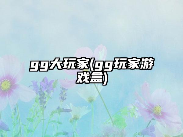 gg大玩家(gg玩家游戏盒)