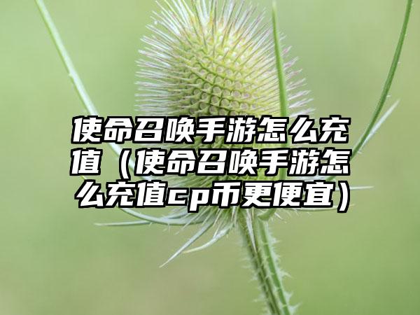 使命召唤手游怎么充值（使命召唤手游怎么充值cp币更便宜）