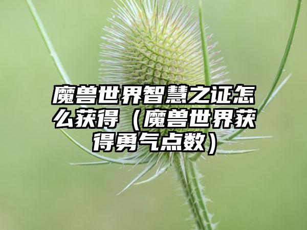 魔兽世界智慧之证怎么获得（魔兽世界获得勇气点数）