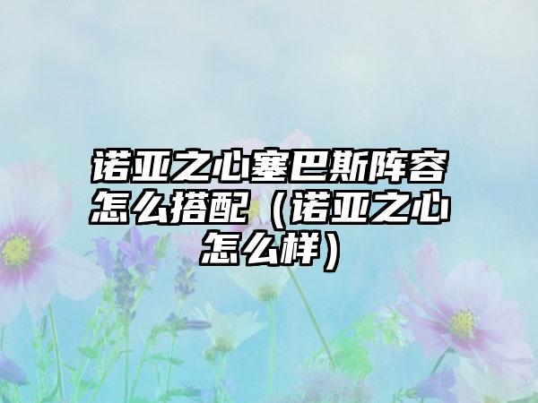 诺亚之心塞巴斯阵容怎么搭配（诺亚之心怎么样）