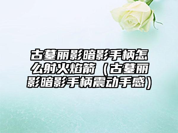 古墓丽影暗影手柄怎么射火焰箭（古墓丽影暗影手柄震动手感）