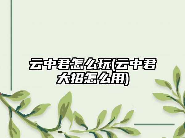 云中君怎么玩(云中君大招怎么用)