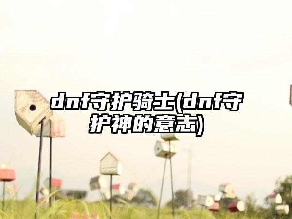 dnf守护骑士(dnf守护神的意志)