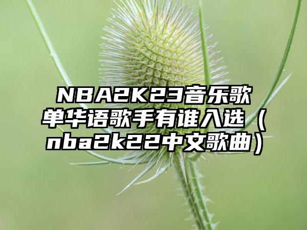 NBA2K23音乐歌单华语歌手有谁入选（nba2k22中文歌曲）
