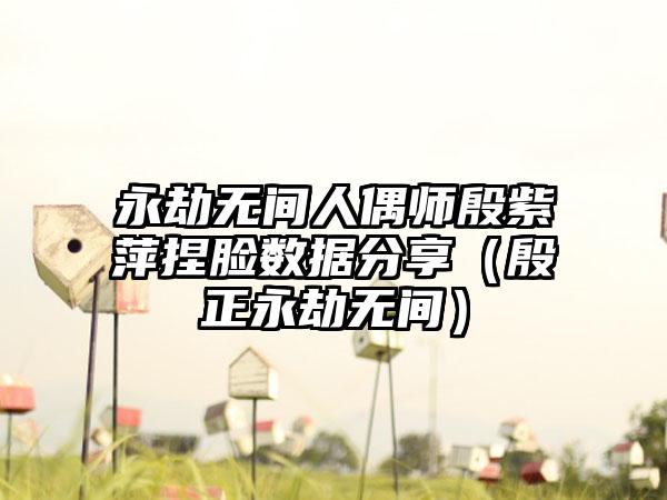 永劫无间人偶师殷紫萍捏脸数据分享（殷正永劫无间）