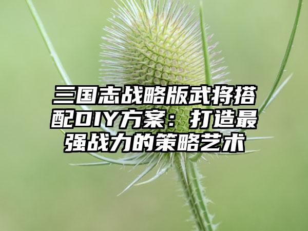 三国志战略版武将搭配DIY方案：打造最强战力的策略艺术