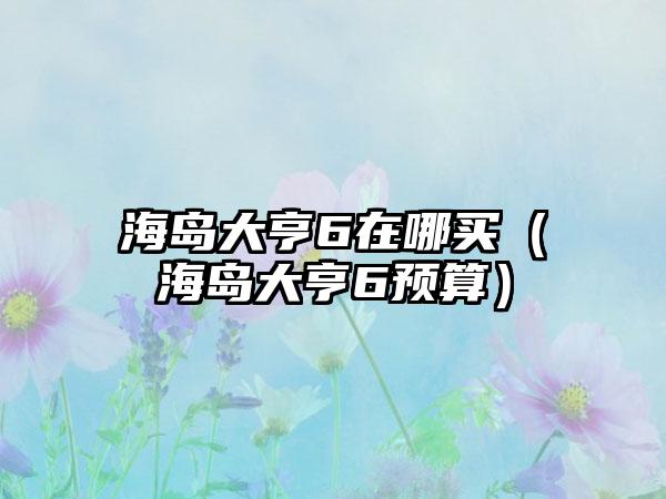 海岛大亨6在哪买（海岛大亨6预算）