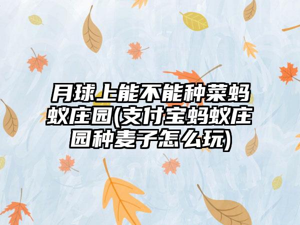 月球上能不能种菜蚂蚁庄园(支付宝蚂蚁庄园种麦子怎么玩)