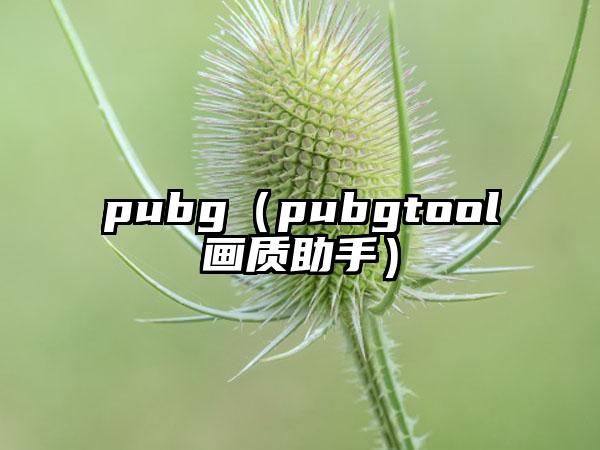 pubg（pubgtool画质助手）