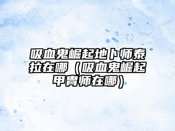 吸血鬼崛起地卜师泰拉在哪（吸血鬼崛起甲胄师在哪）