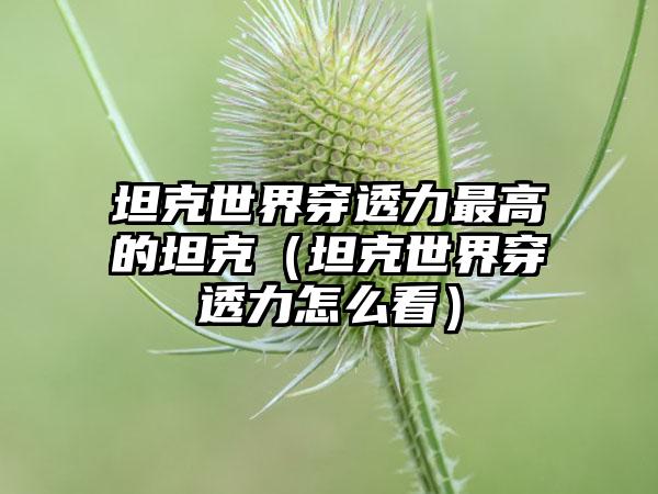 坦克世界穿透力最高的坦克（坦克世界穿透力怎么看）