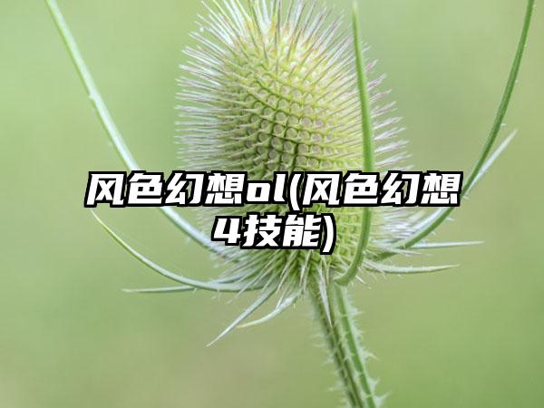 风色幻想ol(风色幻想4技能)