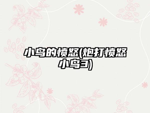 小鸟的愤怒(炮打愤怒小鸟3)