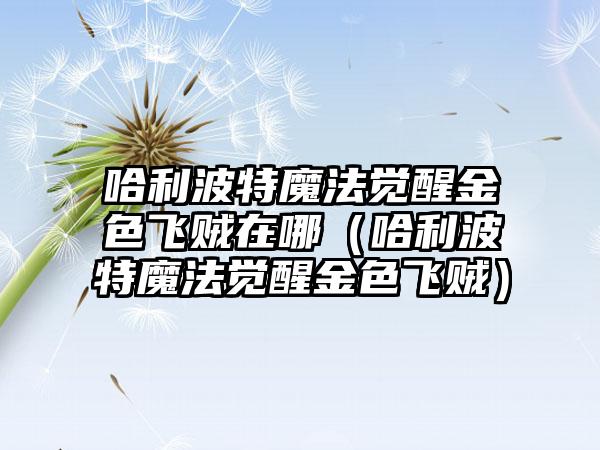 哈利波特魔法觉醒金色飞贼在哪（哈利波特魔法觉醒金色飞贼）