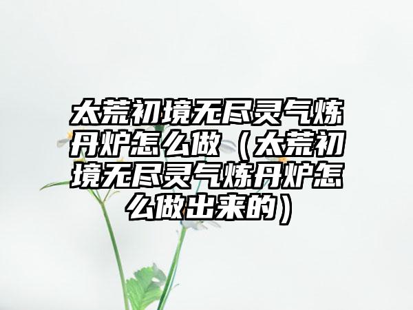 太荒初境无尽灵气炼丹炉怎么做（太荒初境无尽灵气炼丹炉怎么做出来的）