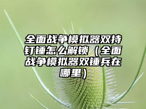 全面战争模拟器双持钉锤怎么解锁（全面战争模拟器双锤兵在哪里）