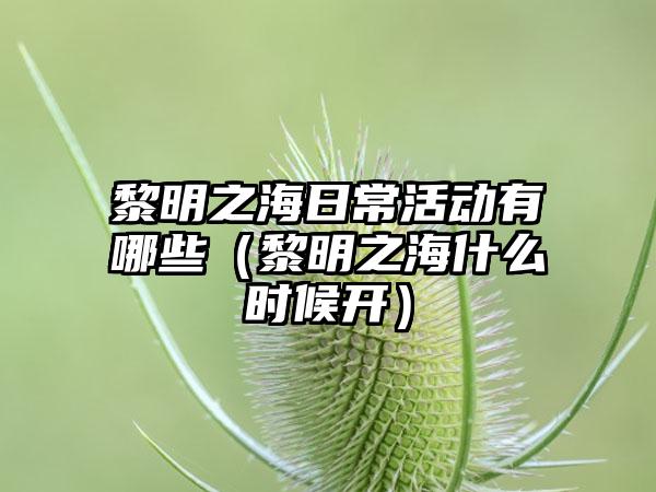 黎明之海日常活动有哪些（黎明之海什么时候开）