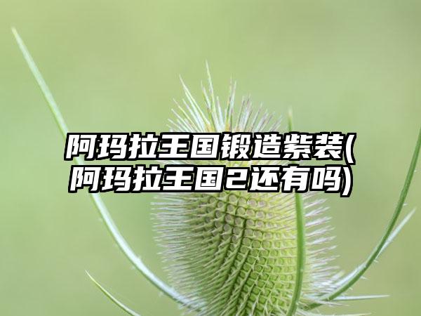 阿玛拉王国锻造紫装(阿玛拉王国2还有吗)