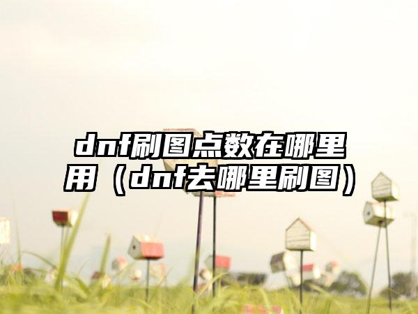 dnf刷图点数在哪里用（dnf去哪里刷图）