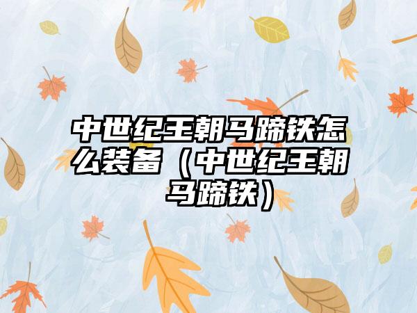 中世纪王朝马蹄铁怎么装备（中世纪王朝 马蹄铁）