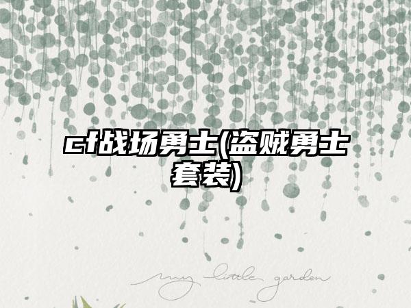 cf战场勇士(盗贼勇士套装)