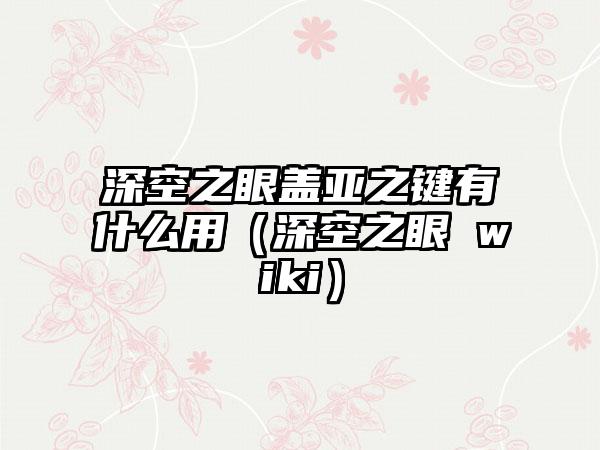 深空之眼盖亚之键有什么用（深空之眼 wiki）