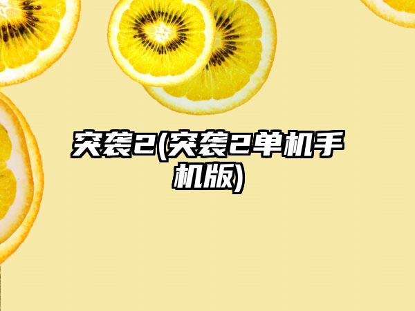 突袭2(突袭2单机手机版)