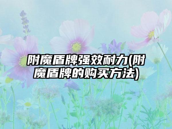 附魔盾牌强效耐力(附魔盾牌的购买方法)