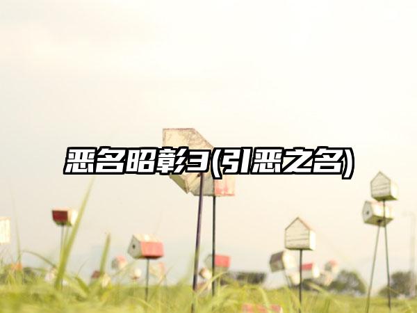 恶名昭彰3(引恶之名)