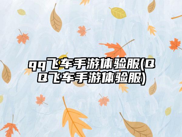 qq飞车手游体验服(QQ飞车手游体验服)