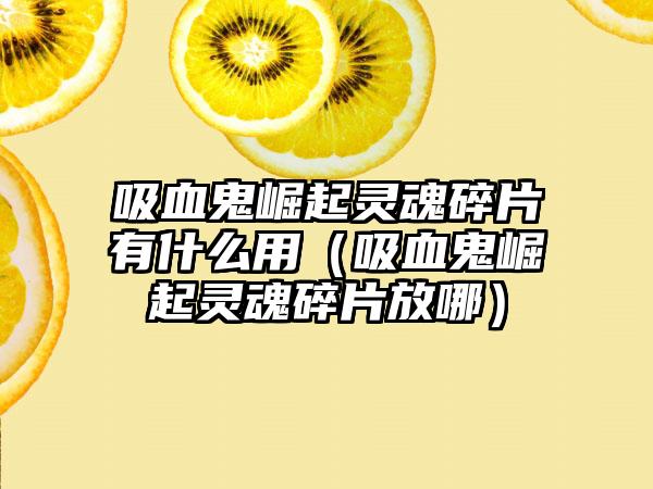 吸血鬼崛起灵魂碎片有什么用（吸血鬼崛起灵魂碎片放哪）