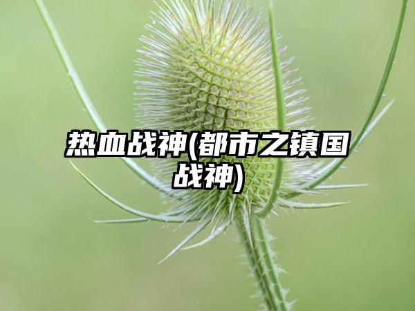 热血战神(都市之镇国战神)