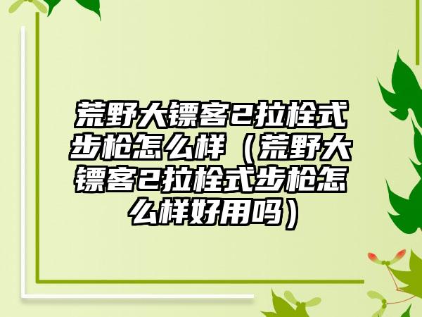 荒野大镖客2拉栓式步枪怎么样（荒野大镖客2拉栓式步枪怎么样好用吗）