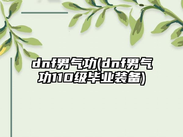 dnf男气功(dnf男气功110级毕业装备)