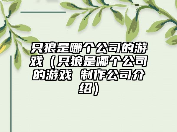 只狼是哪个公司的游戏（只狼是哪个公司的游戏 制作公司介绍）