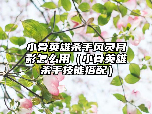 小骨英雄杀手风灵月影怎么用（小骨英雄杀手技能搭配）