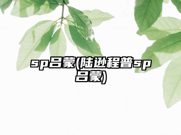 sp吕蒙(陆逊程普sp吕蒙)