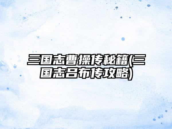 三国志曹操传秘籍(三国志吕布传攻略)