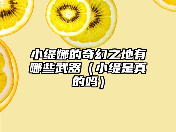 小缇娜的奇幻之地有哪些武器（小缇是真的吗）