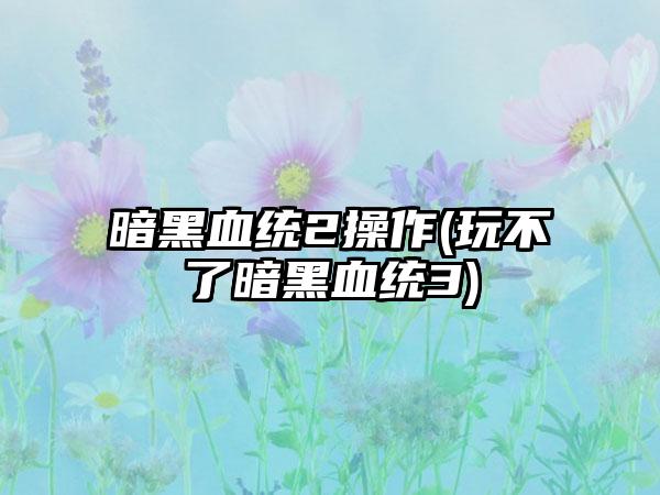 暗黑血统2操作(玩不了暗黑血统3)