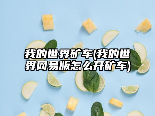 我的世界矿车(我的世界网易版怎么开矿车)