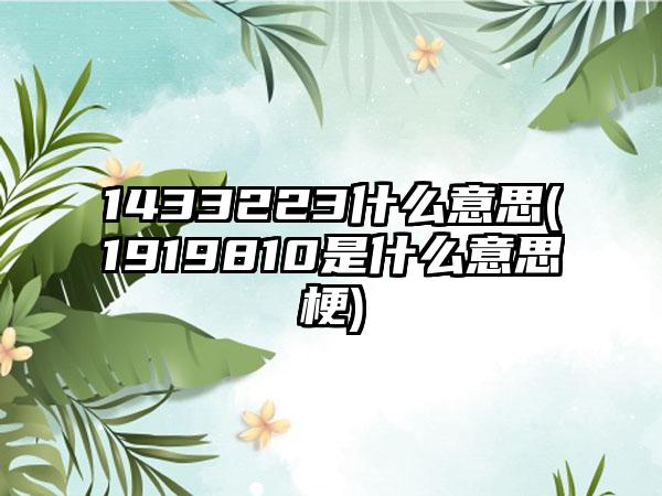 1433223什么意思(1919810是什么意思梗)
