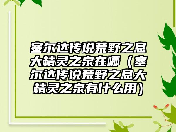 塞尔达传说荒野之息大精灵之泉在哪（塞尔达传说荒野之息大精灵之泉有什么用）