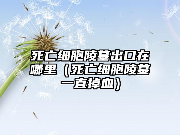 死亡细胞陵墓出口在哪里（死亡细胞陵墓一直掉血）