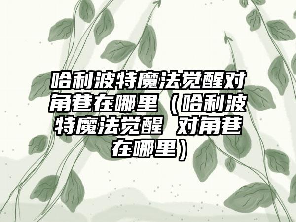 哈利波特魔法觉醒对角巷在哪里（哈利波特魔法觉醒 对角巷在哪里）