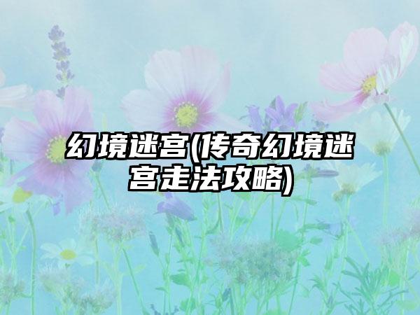 幻境迷宫(传奇幻境迷宫走法攻略)