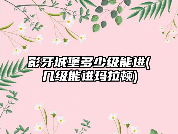 影牙城堡多少级能进(几级能进玛拉顿)