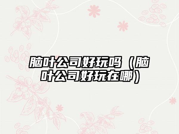 脑叶公司好玩吗（脑叶公司好玩在哪）