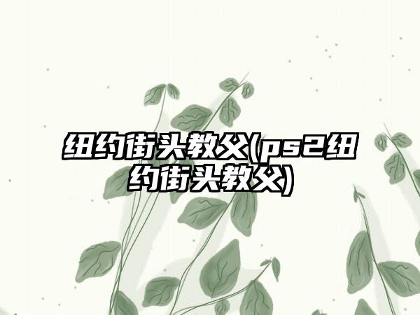 纽约街头教父(ps2纽约街头教父)