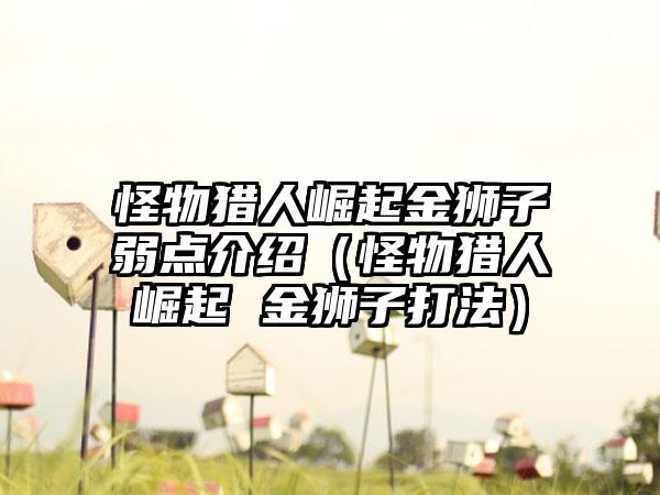 怪物猎人崛起金狮子弱点介绍（怪物猎人崛起 金狮子打法）